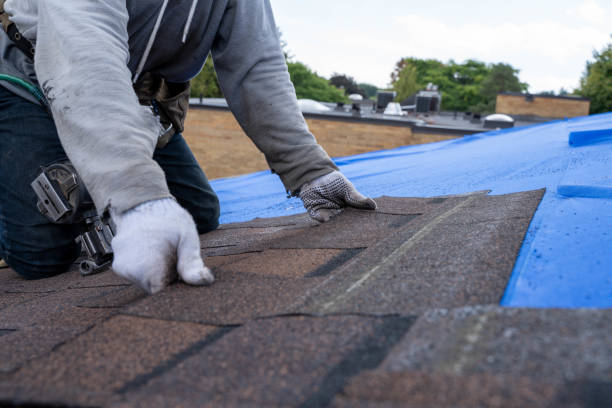Best Residential Roofing Contractor  in Renton, WA