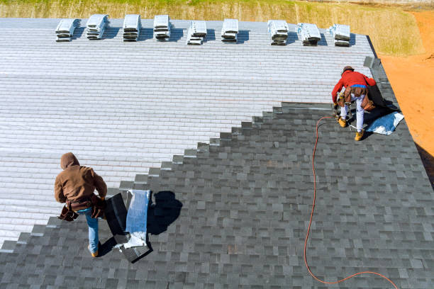 Best Metal Roofing Contractor  in Renton, WA